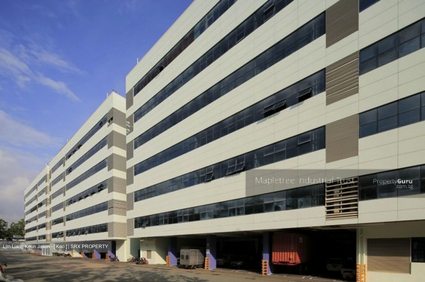 Loyang Industrial Estate (D17), Factory #301125201